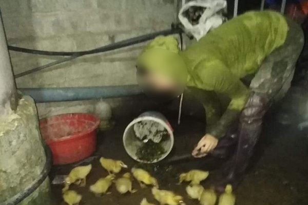 Cận Tết Nguyên đán, giáo viên tranh thủ bán xôi, đi giao hàng để tăng thu nhập