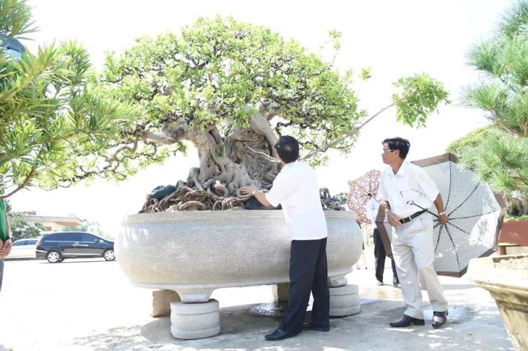 Mẹo chống liệt môn Tiếng Anh trong kỳ thi THPT quốc gia