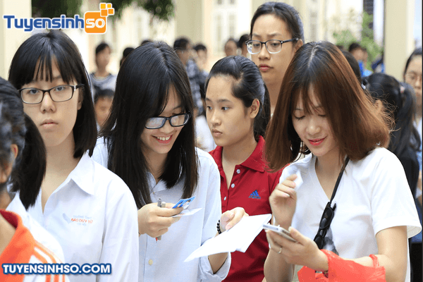 Nhà Cái Bet88 Com Đăng Ký Nhận 88k Đà Nẵng: Công bố tiêu chí tuyển thẳng