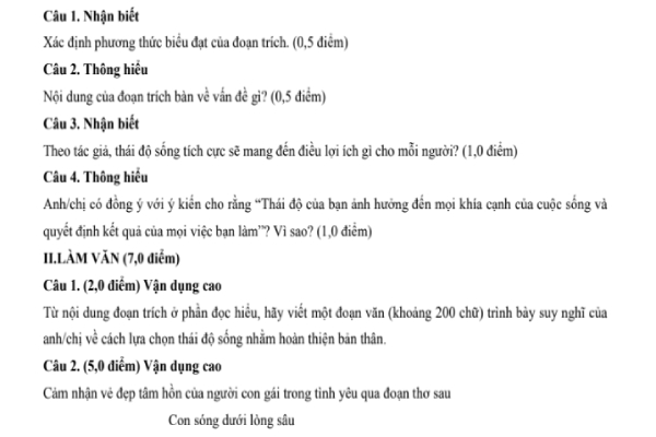 Đề thi thử môn Văn THPT quốc gia 2019 kèm lời giải chi tiết