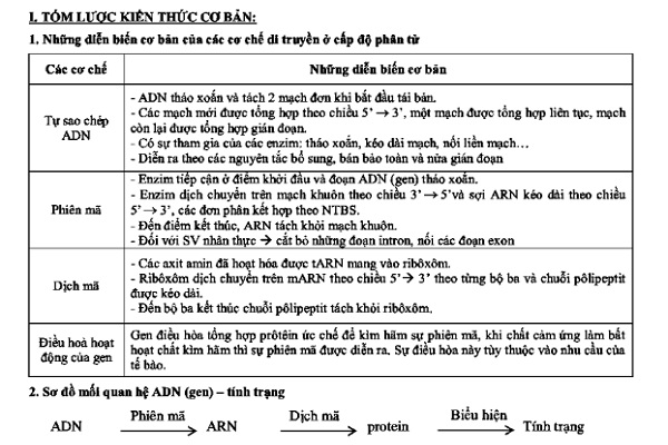 Kiến thức trọng tâm môn Sinh học lớp 12 ôn thi Bet88 2026 nổ hũ và xổ số THPT 2022