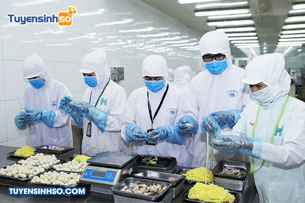 Ngành Kỹ thuật thực phẩm