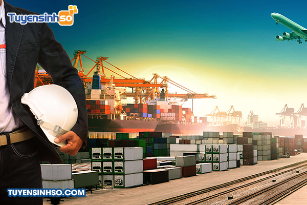 Ngành Logistics và Quản lý chuỗi cung ứng