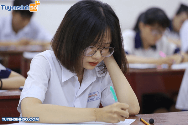 Bet88013. com tải app về máy Bett 88 Link đăng nhập nhà cái vào ngành sư phạm phải cao từ 1,5m trở lên