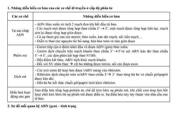 Tóm tắt kiến thức Sinh học lớp 12 phần Di truyền – biến dị, Tiến hóa và hệ sinh thái một cách dễ hiểu nhất