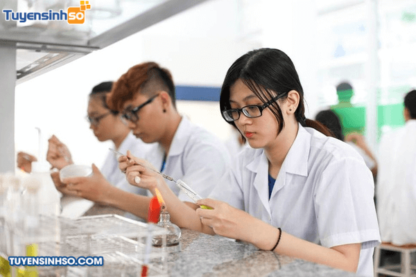 Bet88347 kho game thể thao khối ngành sức khỏe: Lưu ý tiêu chí phụ