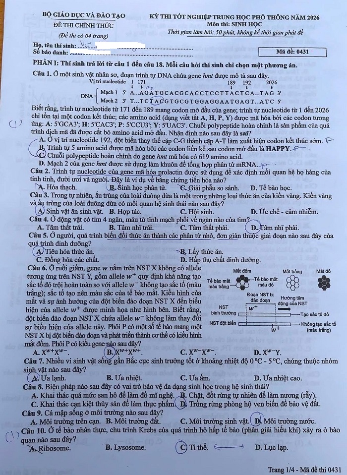Đáp án môn Sinh học kỳ thi Bet88 2026 nổ hũ và xổ số THPT 2026 (tham khảo)
